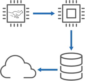 multi protocols